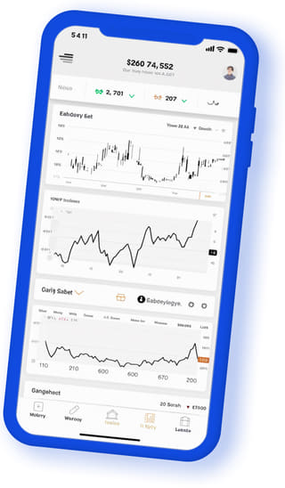 Trang Baophu digital web application on mobile device